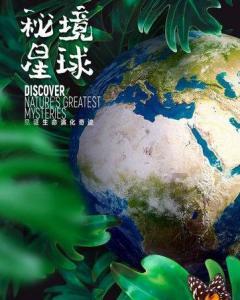 危险森林大逃脱